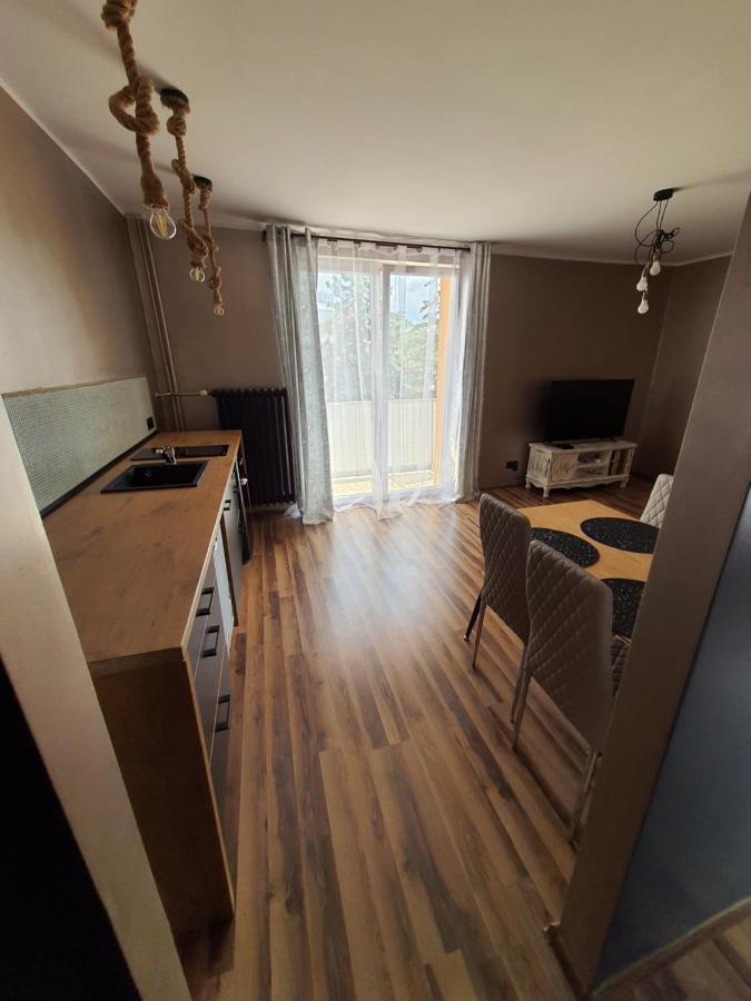 Appartamento Apartament Nad Fontanna Malbork Esterno foto